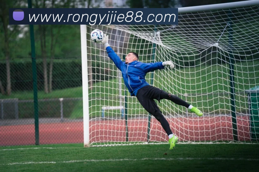 星空平台生态图