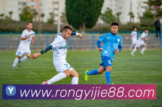 数据防护可视化